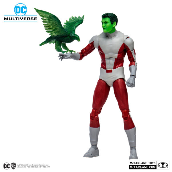 beast boy (teen titans gold label) dc multiverse