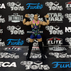rob van dam (rvd) elite monday night war