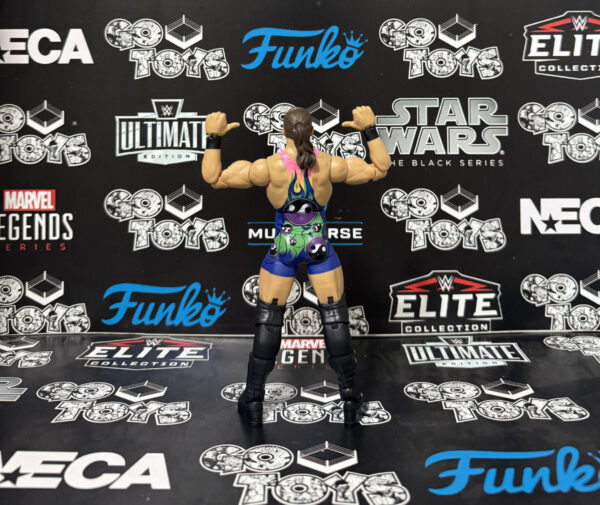 rob van dam (rvd) elite monday night war