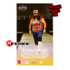 dude love elite ringside exclusive