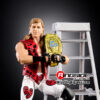 shawn michaels from the vault 9