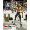 jake roberts ultimate edition 32